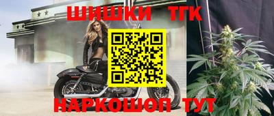 прущие крисы Кингисепп