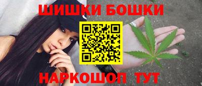 прущие крисы Кингисепп