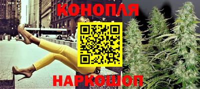 стафф Кинель