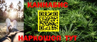 прущие крисы Кингисепп