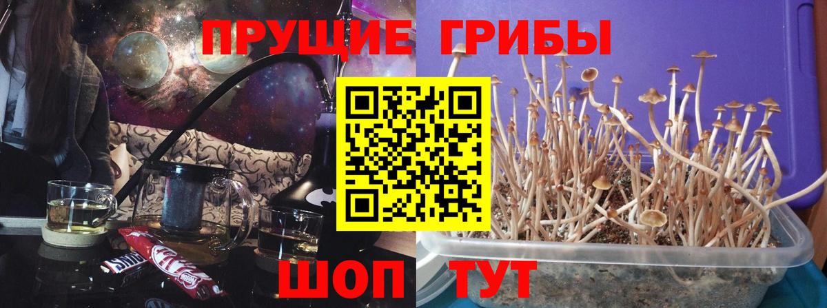 Псилоцибиновые грибы Magic Shrooms Кубинка